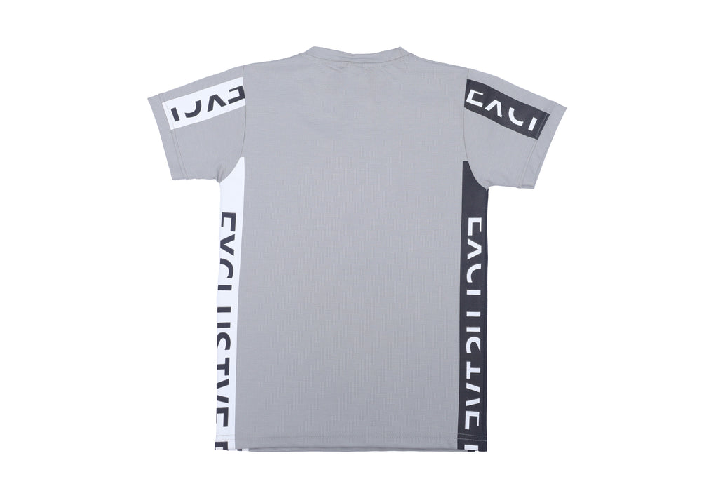Boys Printed T-Shirt grey designer print Cotton for kids