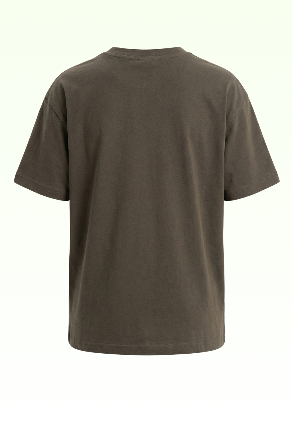 Oversize Brown Continent Printed T-shirt for Boys