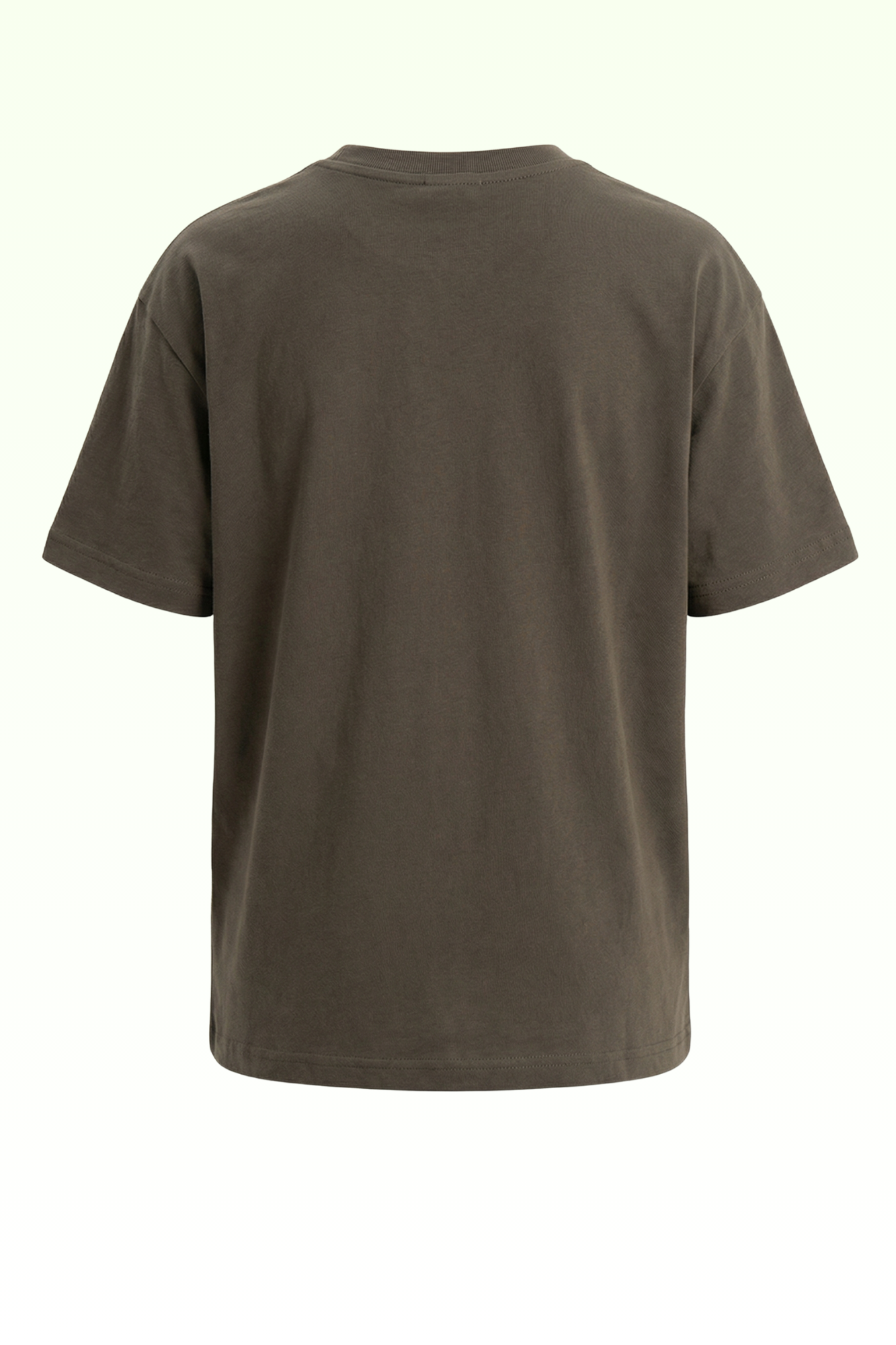 Oversize Brown Continent Printed T-shirt for Boys